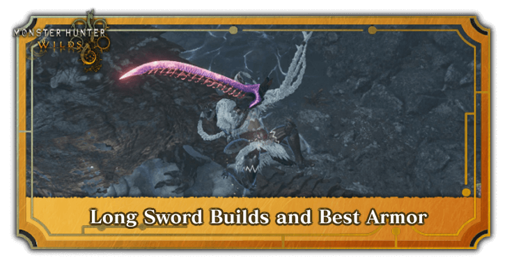 Long Sword Builds