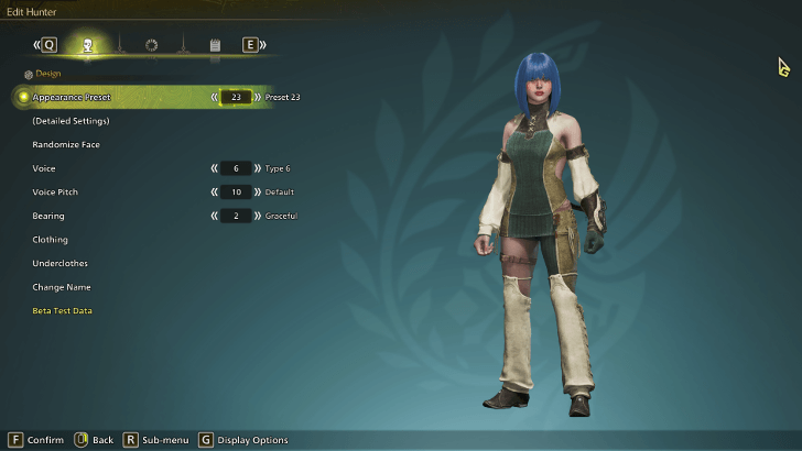 Hunter (Player Character) Customization Features