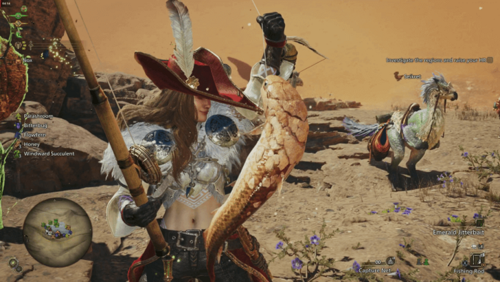 Catching a Gravid Bowfin