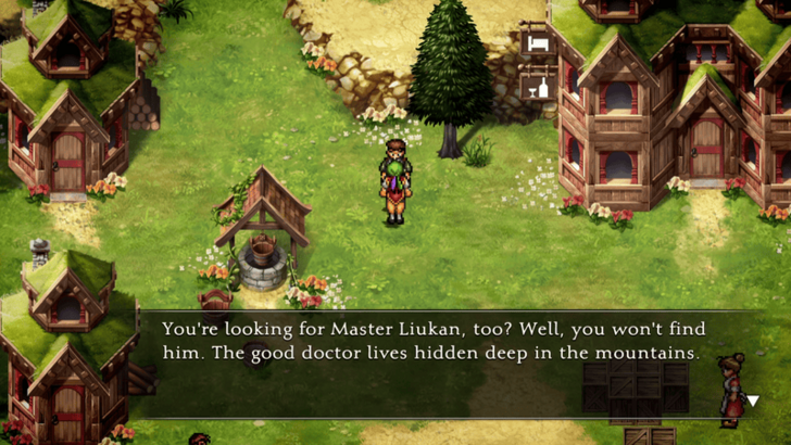 Talk to Villager in Rikon