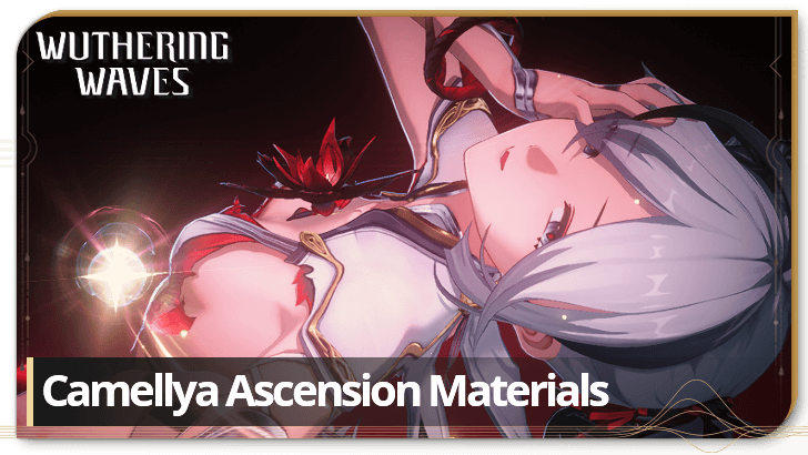 Camellya Ascension Materials