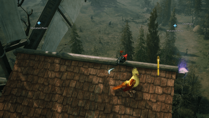 Throne and Liberty - Peipor Harvest Festival