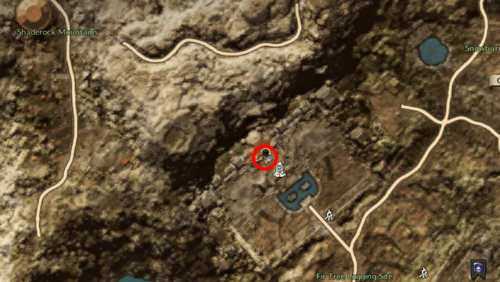 Throne and Liberty - House Crimson Researcher