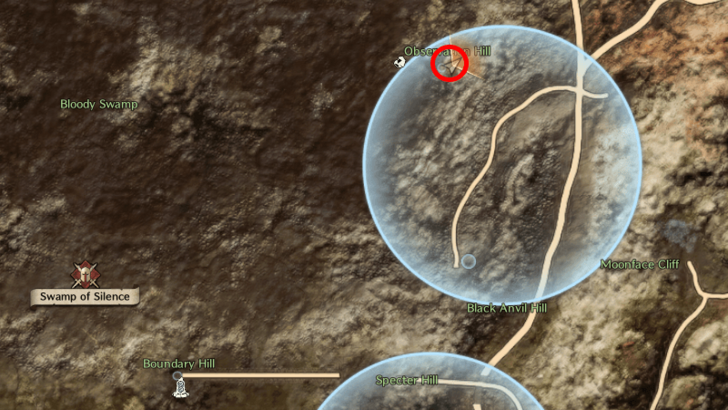 Throne and Liberty - The Pirate King