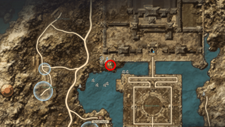 Throne and Liberty - Limuny Bercant