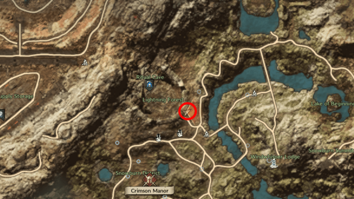 Throne and Liberty - Manticus Brothers Wanted