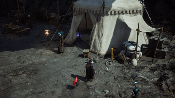 Throne and Liberty - The Pirate King