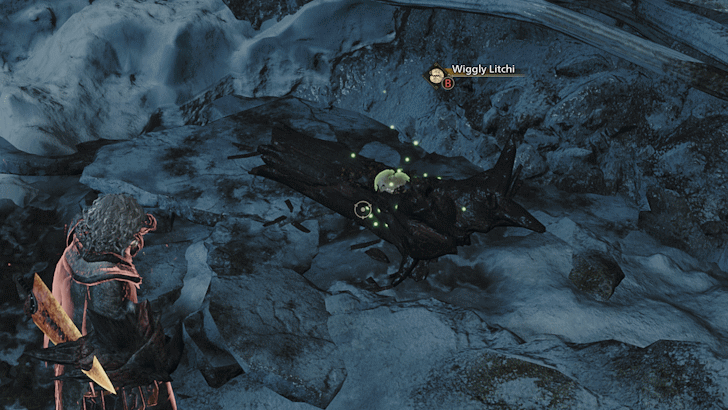 Monster Hunter Wilds - Wiggly Litchi