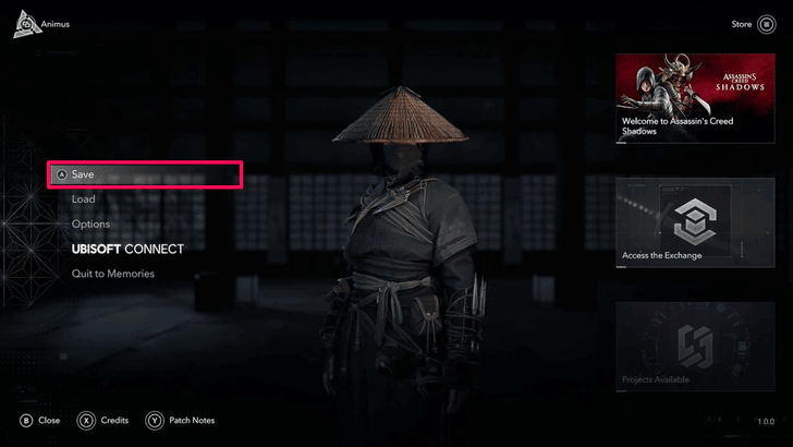 Manual Save through Animus