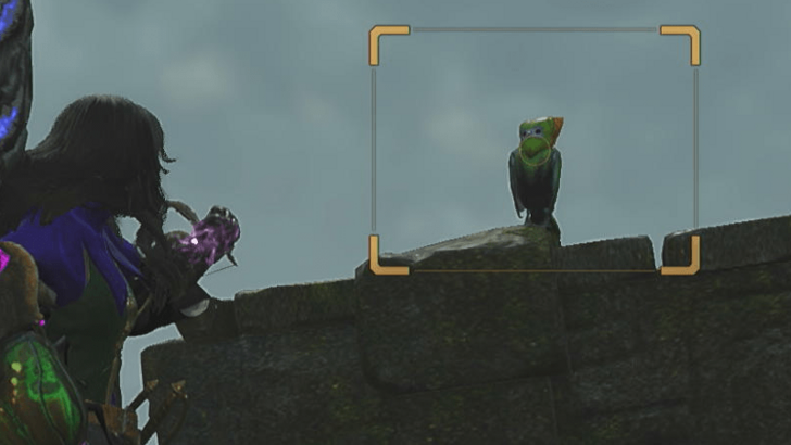 Monster Hunter (MH) Wilds - Dapperwing Catch