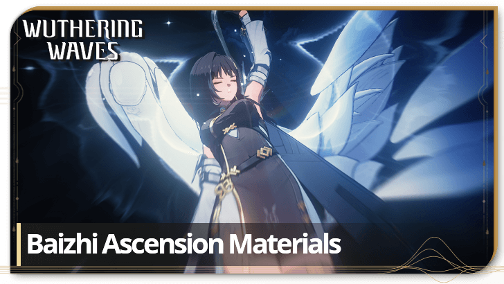 Baizhi Ascension Materials
