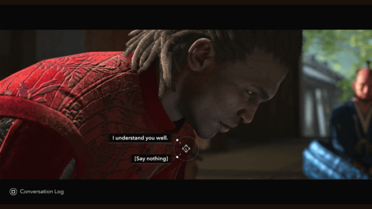 I Understand or Say Nothing