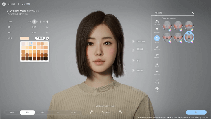 Face Customization