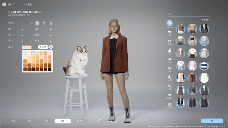 Outfit Customization