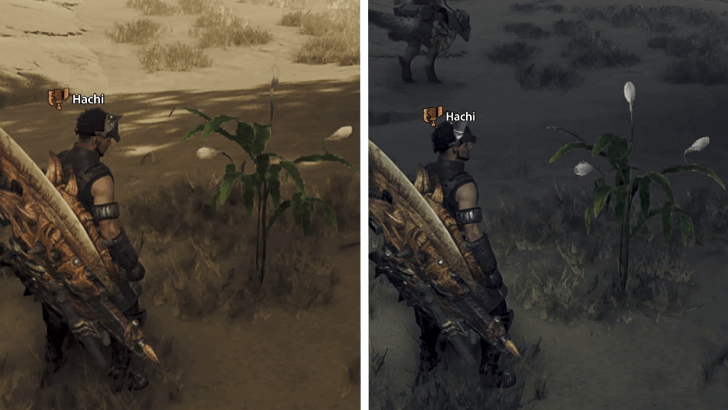 Monster Hunter Wilds - Wait Until Nighttime