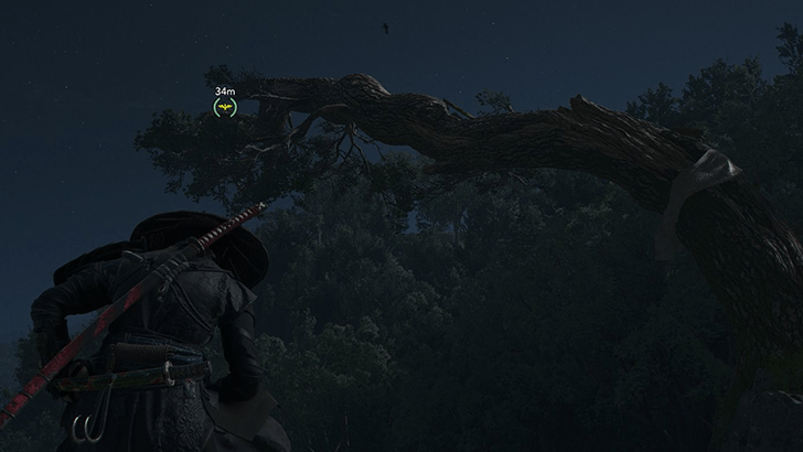 Mount Kongo World View