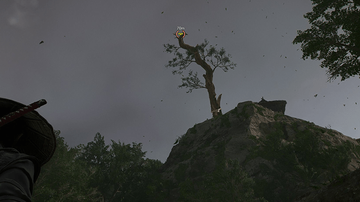 Lost Hills Summit World View