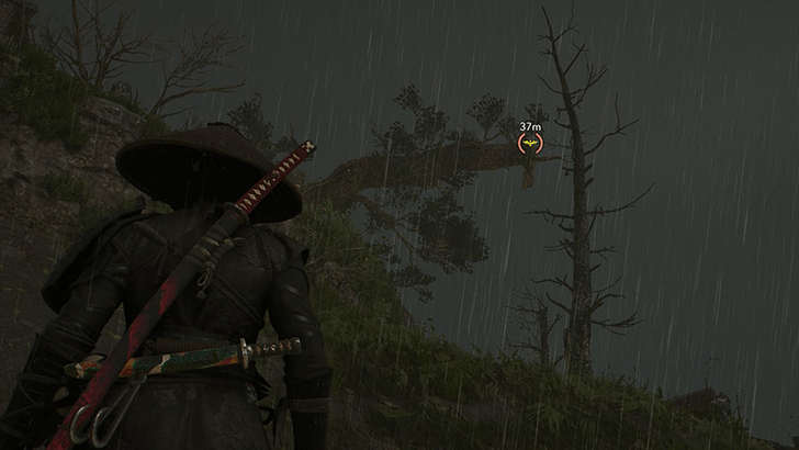 Koyana Ruins World View