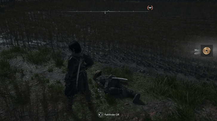 Killing and Looting Ronin