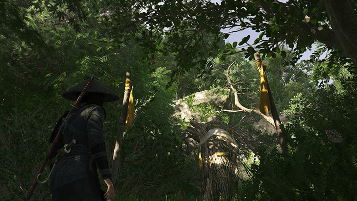 Path of the Brave World View