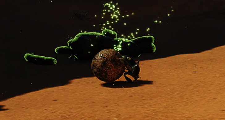 Dung Beetle In-Game