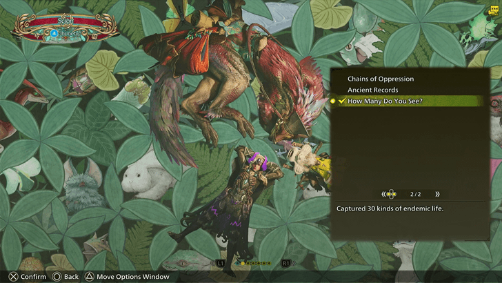 How Many Do You See? Nameplate