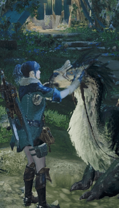 Gesture: Pet Seikret