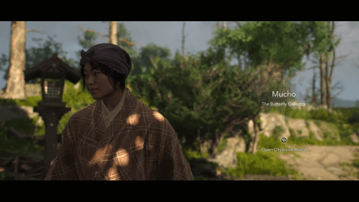 Mucho The Butterfly Collector