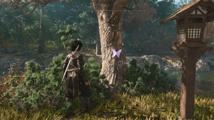 Origami Butterfly world location 1