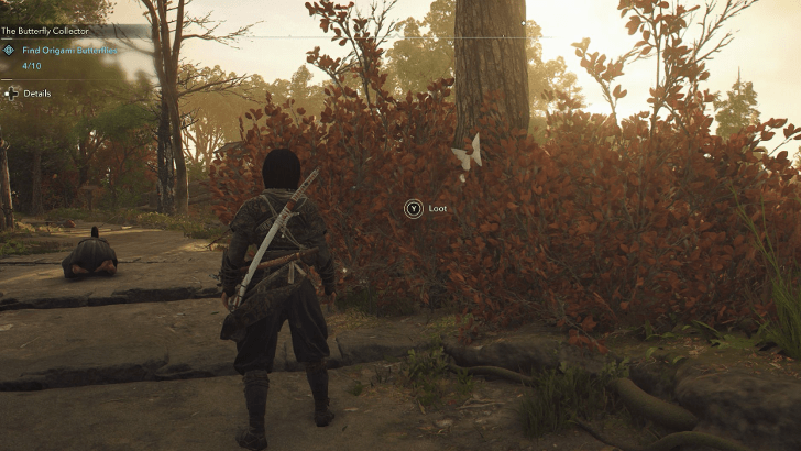 Origami Butterfly world location 5