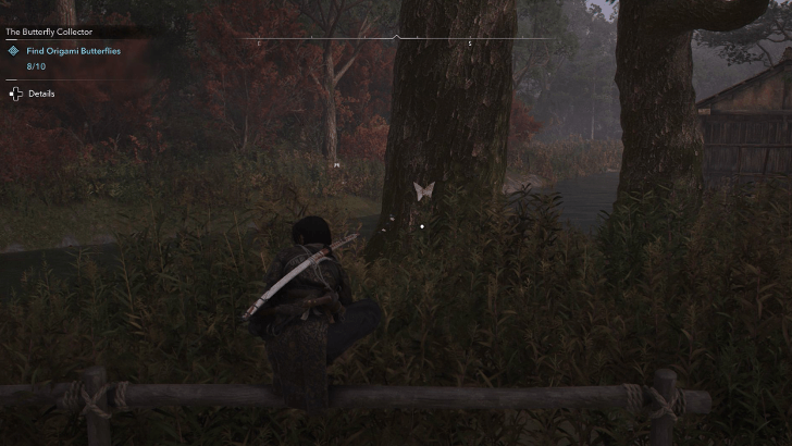 Origami Butterfly world location 9