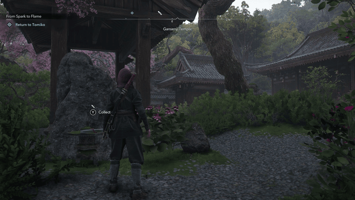 Gansenji Lost Page 2 Worldview