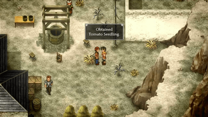 Suikoden 2 - Tomato Seedling