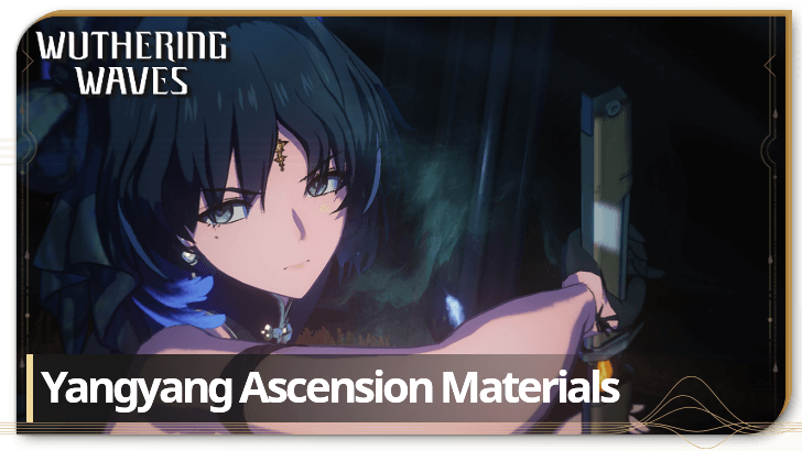 Yangyang Ascension Materials