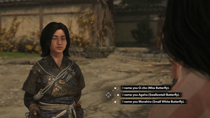 butterfly name choices