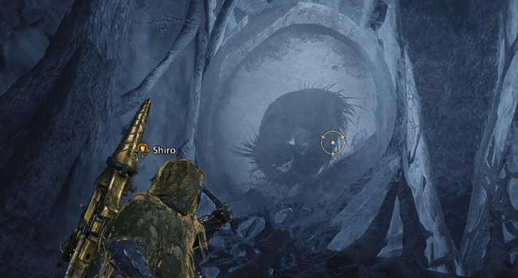 Monster Hunter Wilds - Guardian Cocoon