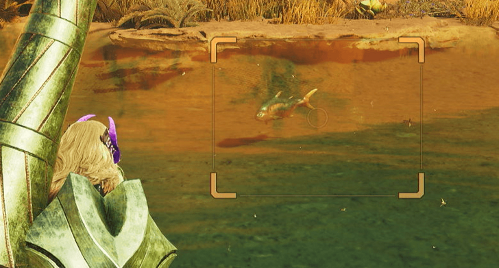 Catch a Sushifish using a Capture Net