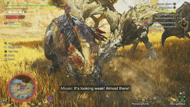 Monster Hunter Wilds - Continuing Conflict
