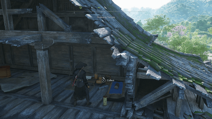 Shokokuji Lost Page 3