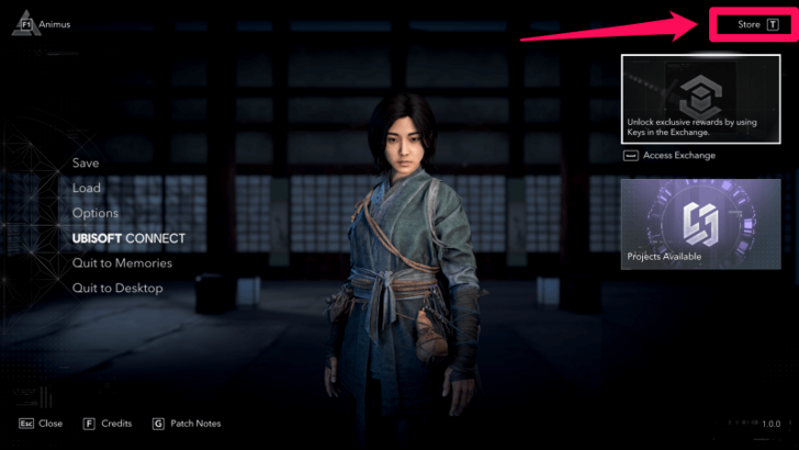 Access Store in Pause Menu