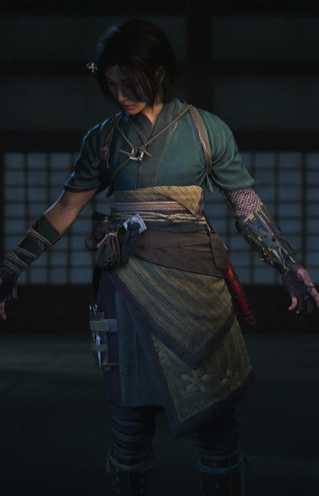 Shrouded Shinobi Robes Icon