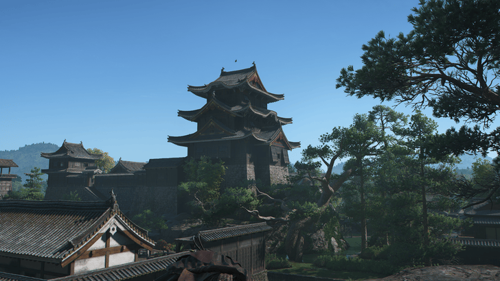 Shoryuji Castle