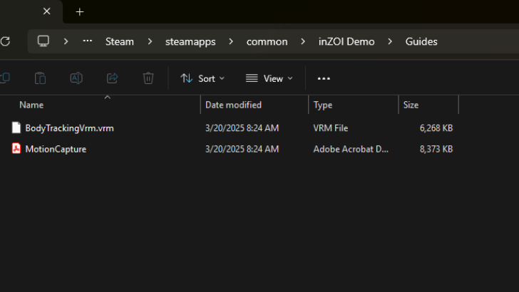 BodyTrackingVrm File Location