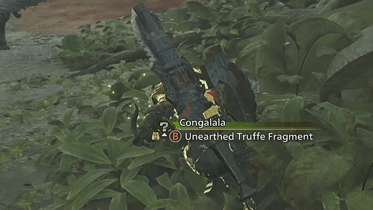Truffle Du Conga Unearthed Truffle Fragment