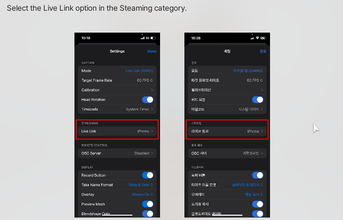 Facial Capture Step 5