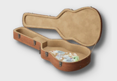 Guitar Case