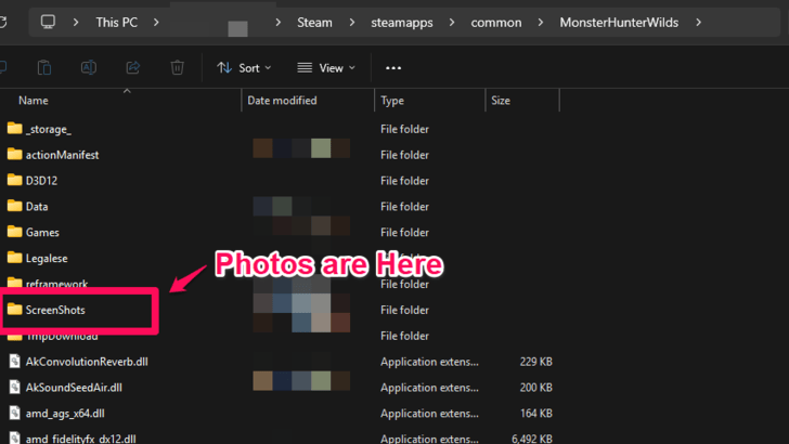 MH Wilds - Screenshots step 5