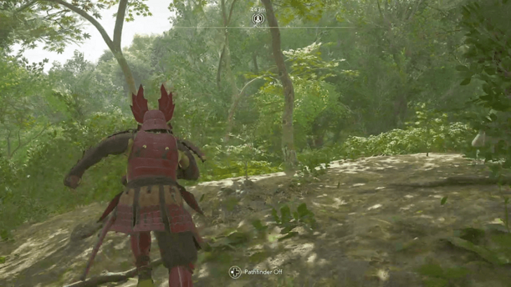 Pathfinder Mode in Forest