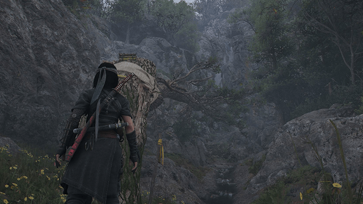 Path of Wisdom World View