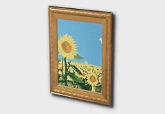 Elegant Gold Framed Picture